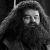 Robbie Coltrane