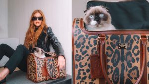 dia-do-gato-famosos