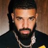 Lollapalooza: colunista revela suposto motivo do cancelamento de Drake; saiba tudo