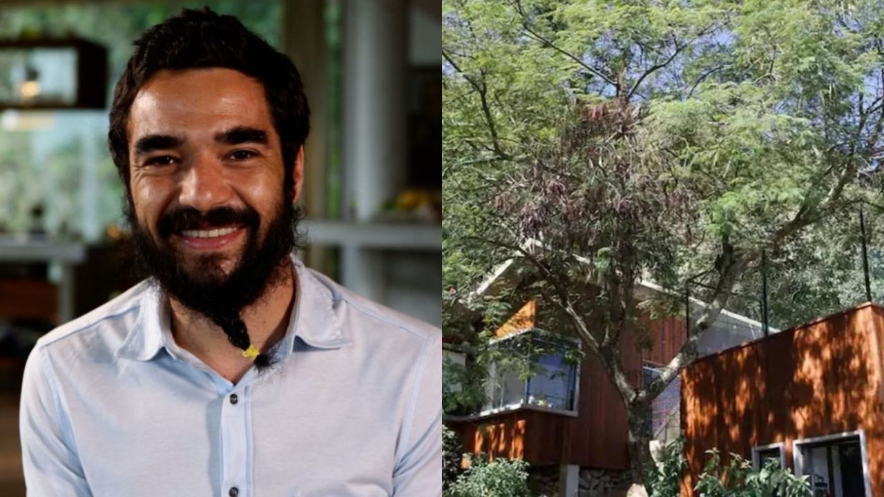 Caio Blat anuncia venda de sua "Casa na Árvore" milionária; confira imagens