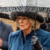Rainha Camilla estaria vivendo a vida "de acordo com uma planilha"; entenda