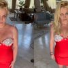 Novo namorado de Britney Spears tem ficha suja e 9 filhos; entenda