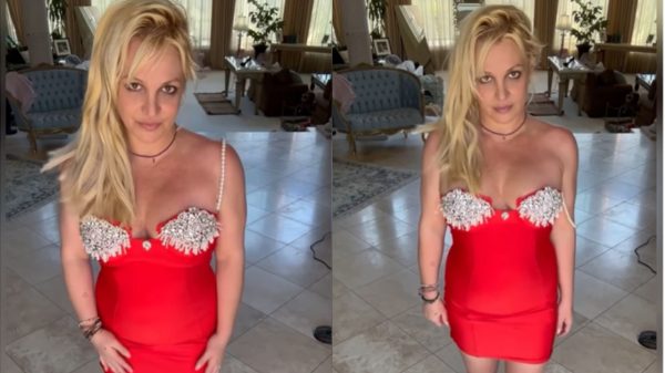 Novo namorado de Britney Spears tem ficha suja e 9 filhos; entenda