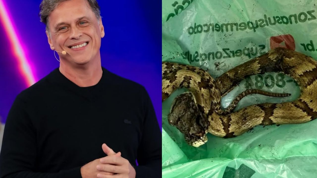 Guilherme Fontes faz alerta após picada de cobra