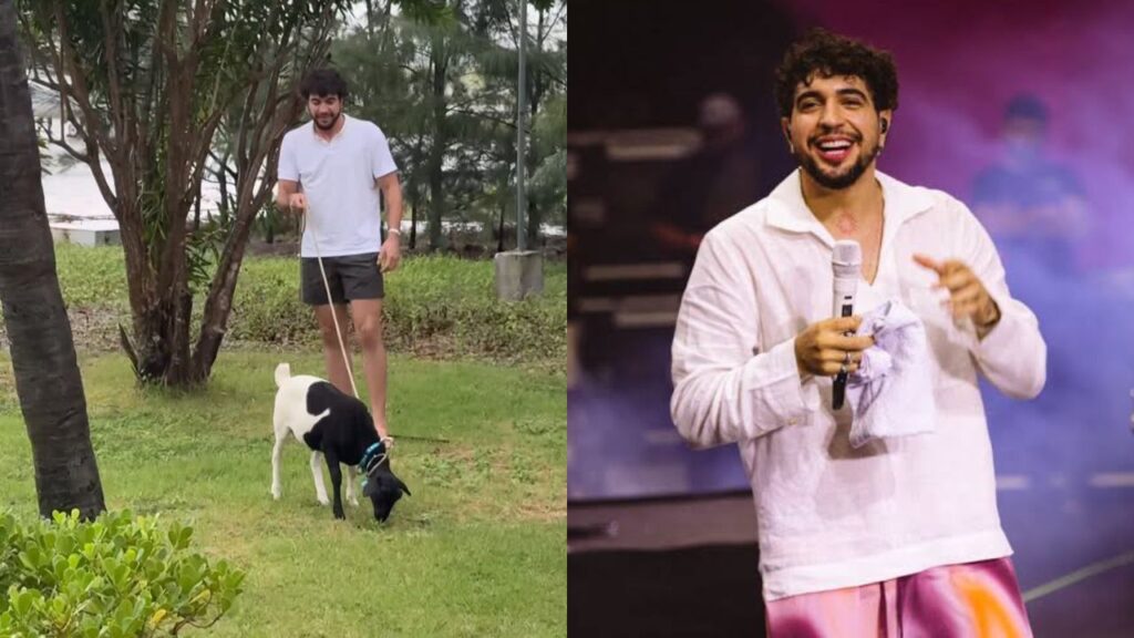 Animal exótico destroi a casa de Nattan; entenda